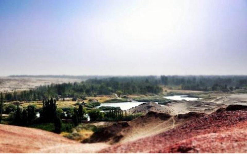 敦煌市2個村入列國家森林鄉(xiāng)村名單